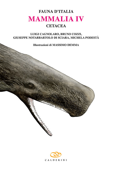 Copertina Cetacea